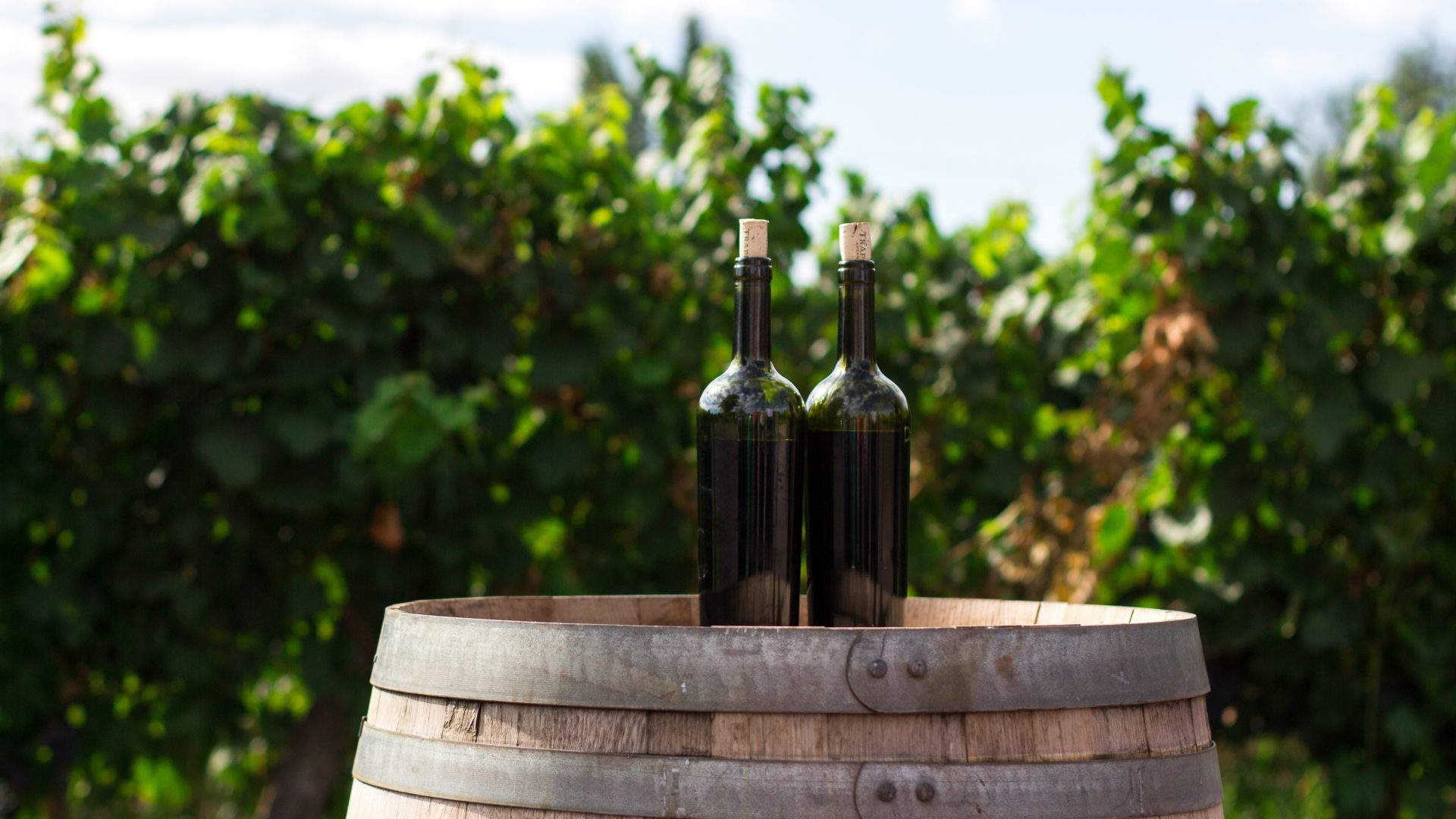Two bottles of wine sitting on top of a wine barrel, greenery in the background